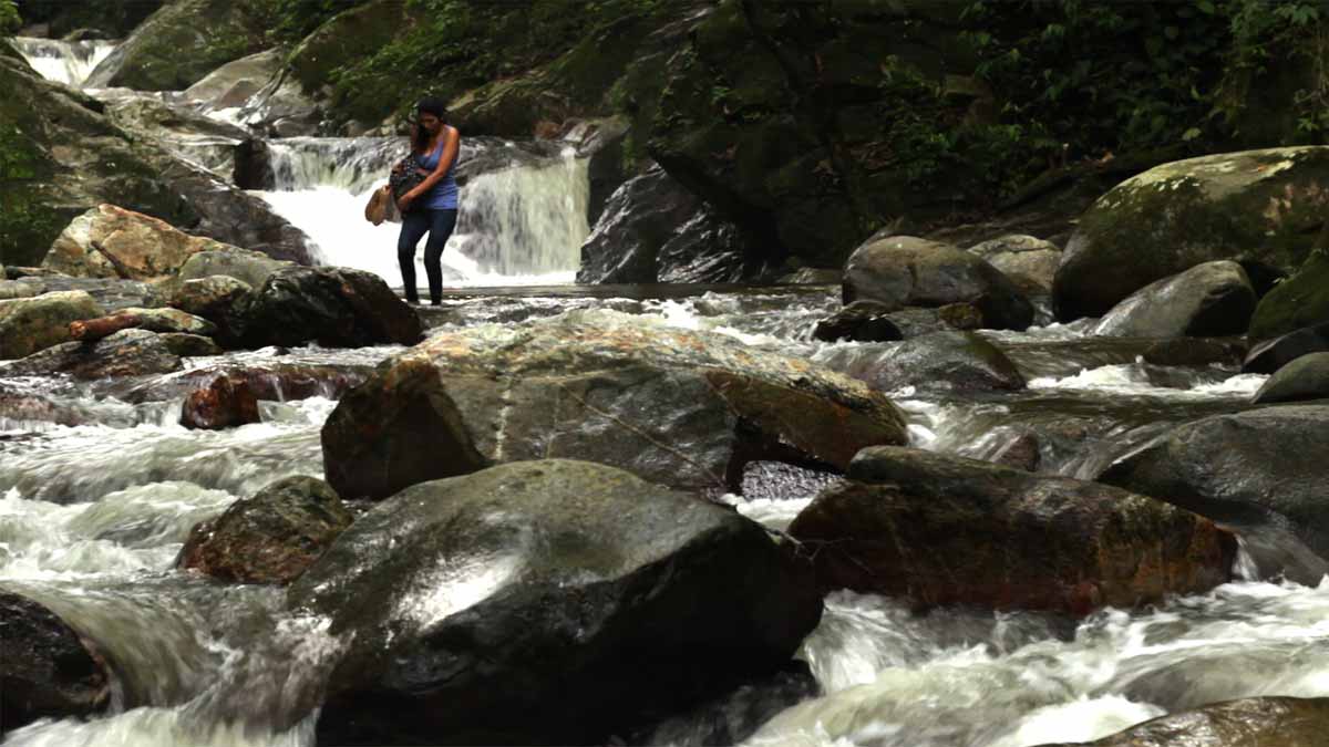 UNA DÉCADA DE CINE COLOMBIANO EN ARGENTINA